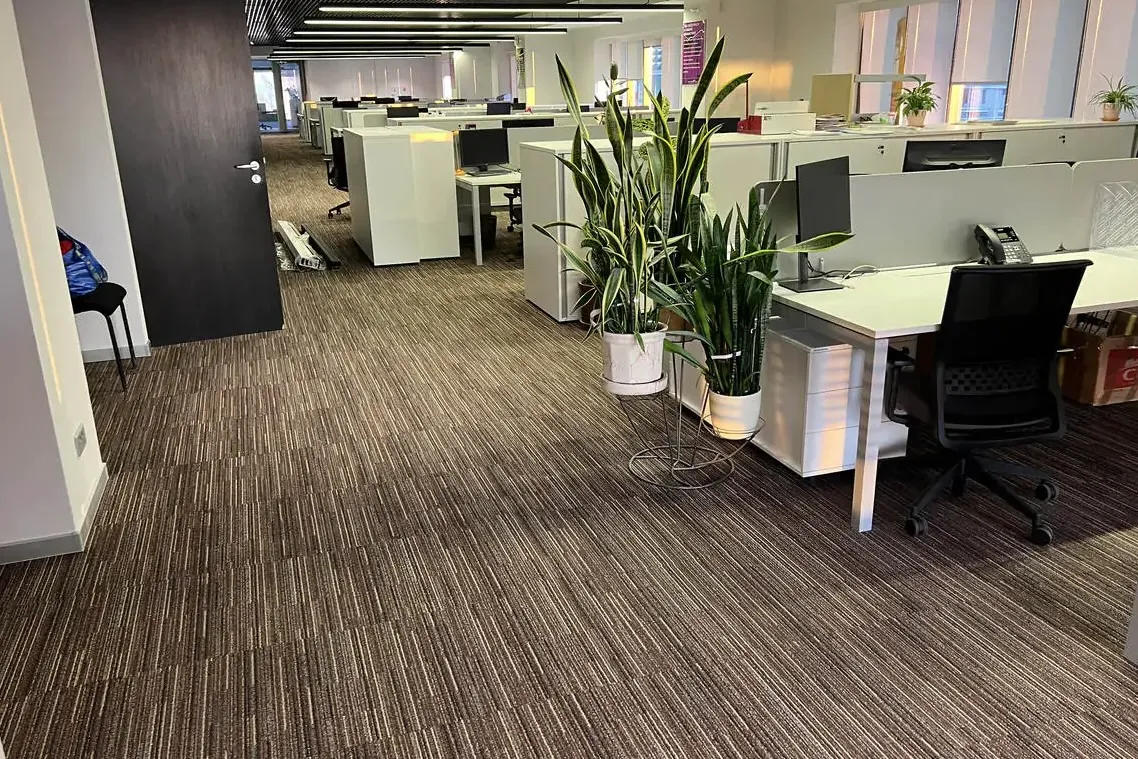 7000371d-f3d5-4b3c-acfa-f0a00cda6dd8_1_201_a-1-preobrazovano-iz-jpeg-1